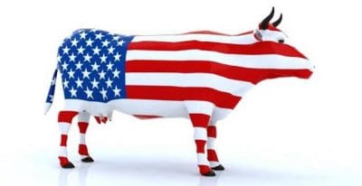 a US cow export