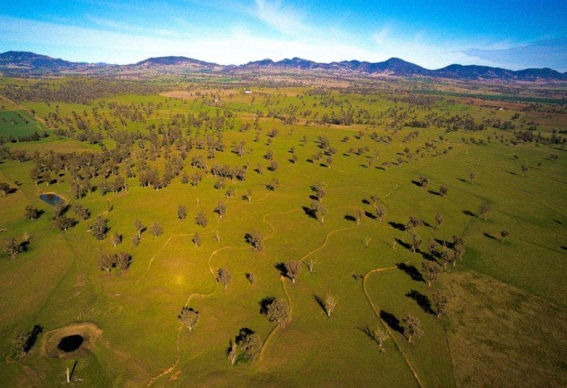 Part of the Middlebrook Park and Kooroon aggregations south of Tamworth that sold to Chinese investors for around $55m in September.