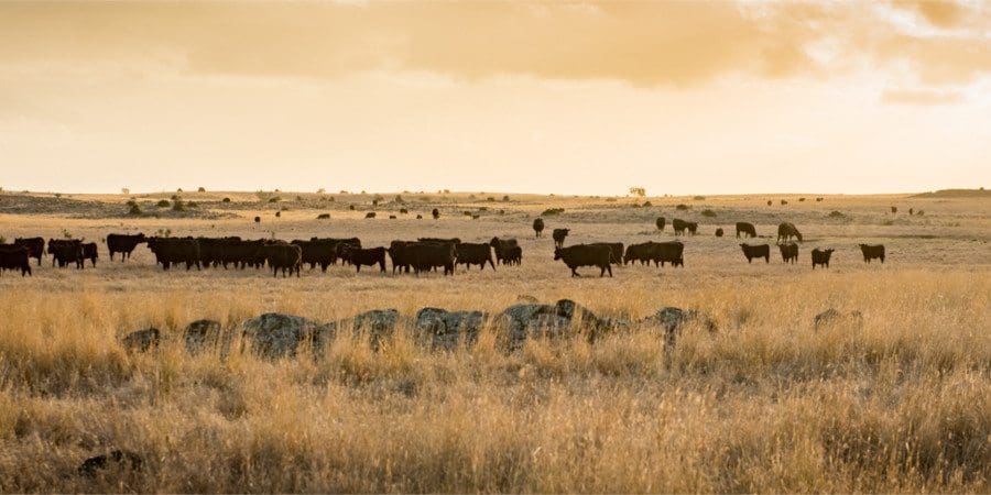 China's Harmony Agriculture and Food Co bought Mt Fyans in Victoria's western districts last year for a reported $34 million