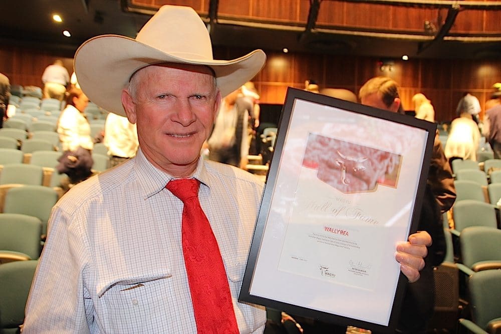 Central Qld's Wally Rea with his Hall of Fame award presented at the AWA conference in Albury this morning. 