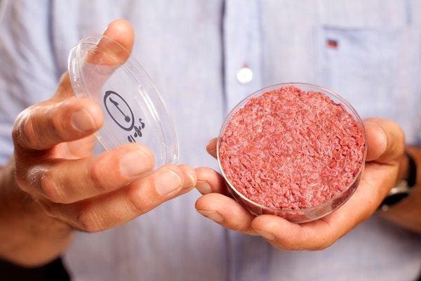 Il salame a base di cellule è considerato pericoloso perché l’Italia vieta la carne di laboratorio