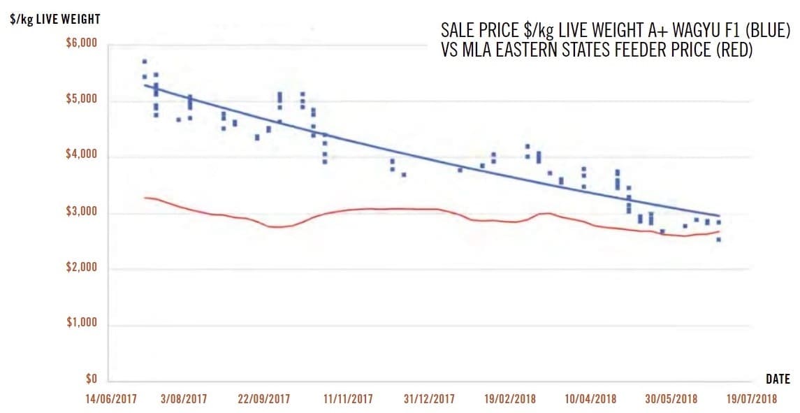 Feeder Cattle Chart Historical