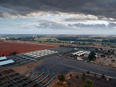 Dubbo sale 12 May 2023: Market eases for 4020 head