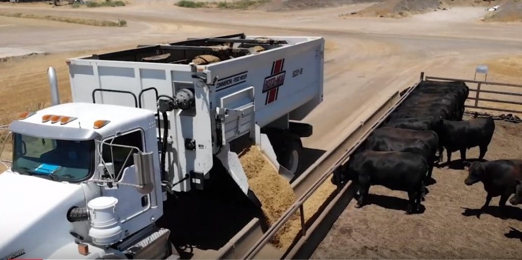 Feedlot ration auto-delivery system shows promise + VIDEO - Agtech Central