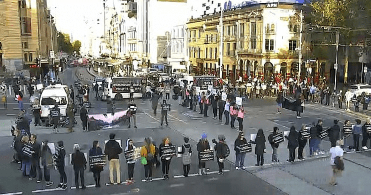 Vegan Protestor Faces Court