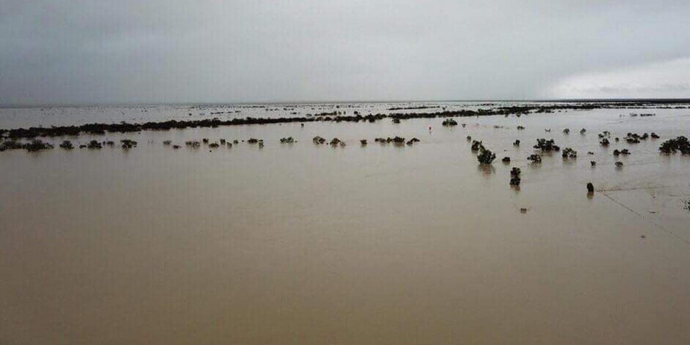 $100m in recovery grants paid since 2019 floods - Beef Central