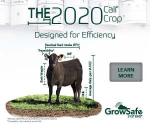 https://growsafe.com/our-solutions/seedstock/?utm_source=beefcentral&utm_medium=mrecgeneticscentralbanner&utm_campaign=cropcalf&utm_term=300x250&utm_content=cropcalf