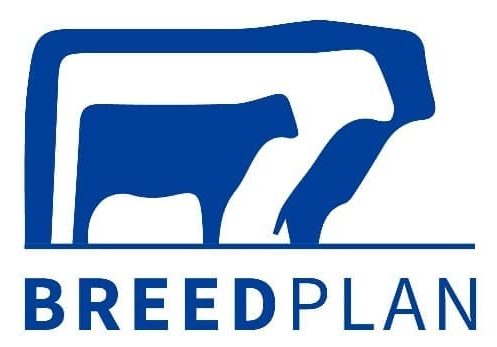 Financial difficulty, staff departures raise concerns about ABRI’s future