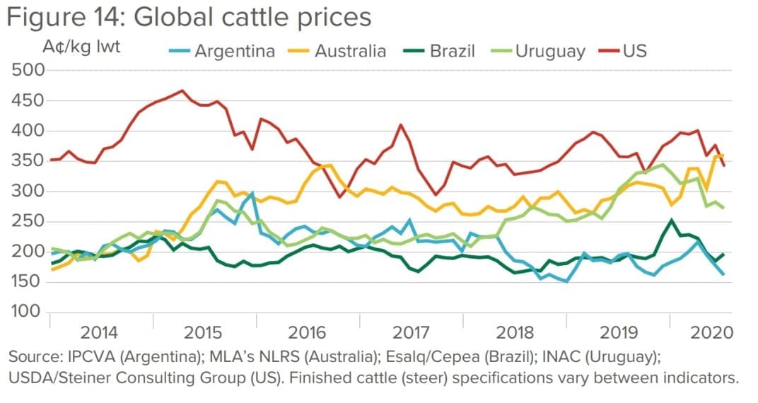 Australian cattle now officially the most expensive in the world - Beef  Central