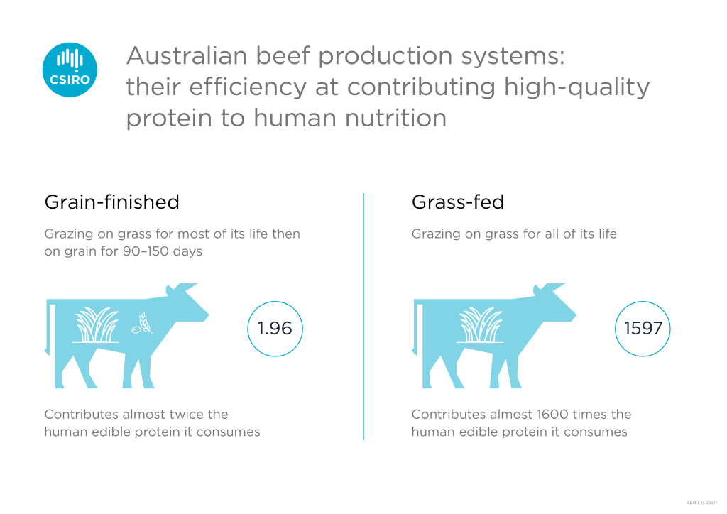 grass-fed beef