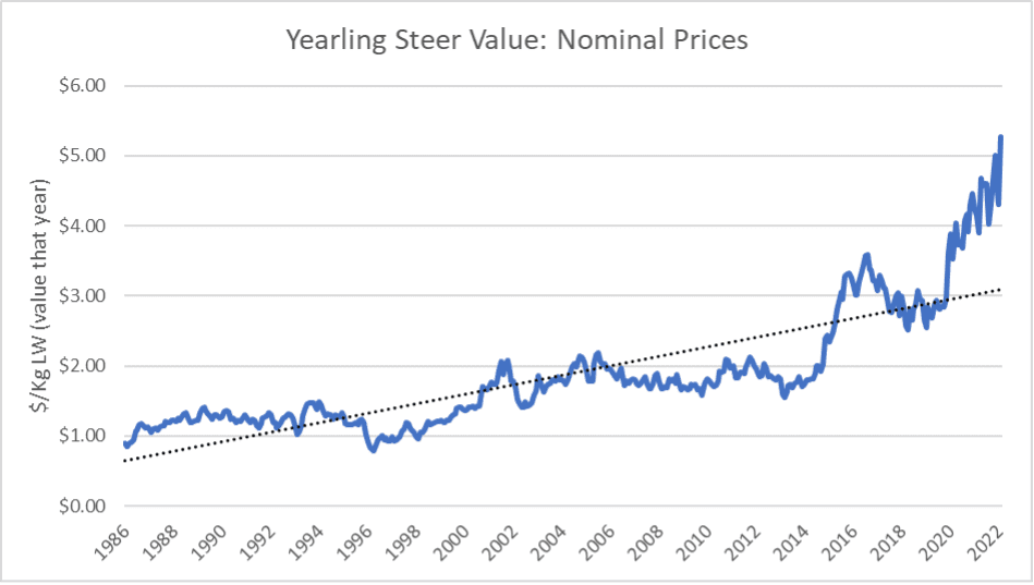 The Business of Beef What will rising inflation and interest rates