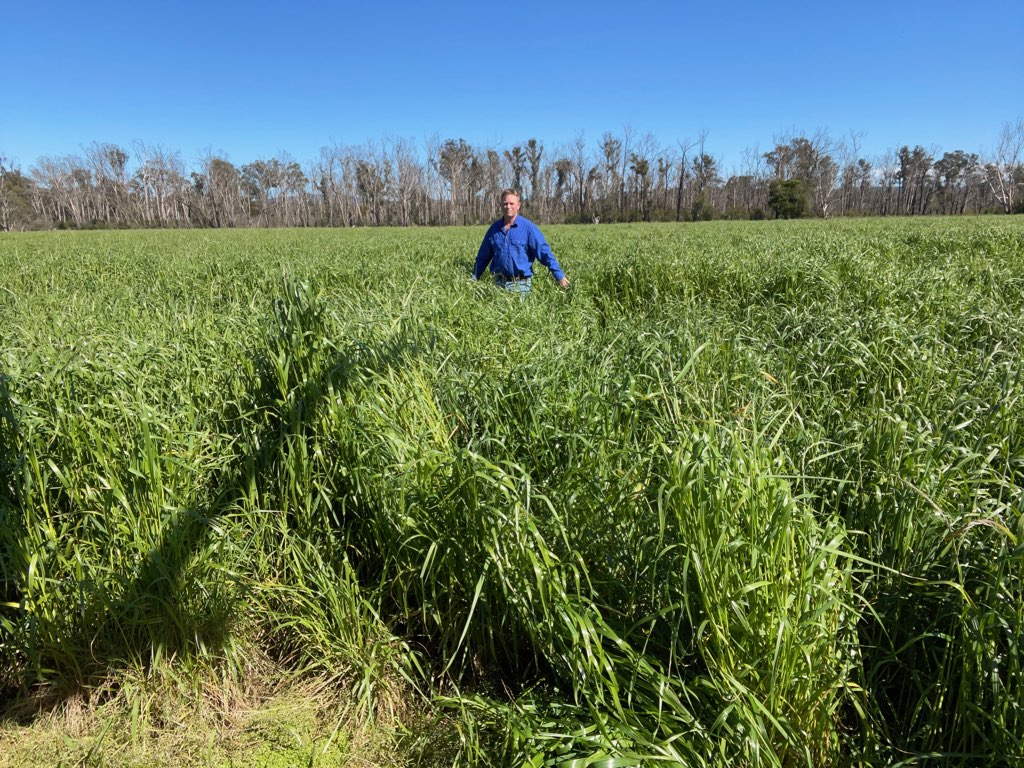 Grassland Society Returns To In person Conference In 2022 Beef Central