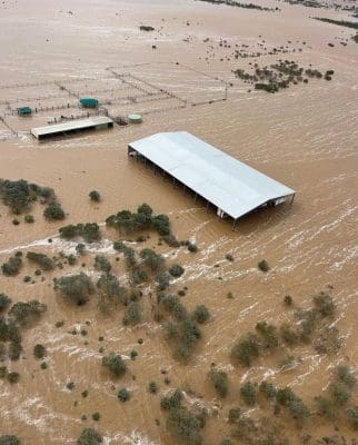 Cattle Australia requires assist as report flooding inundates Kimberley