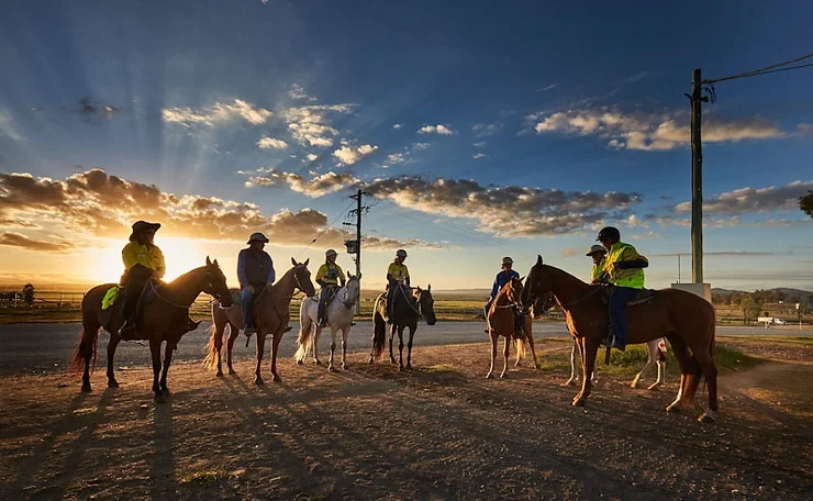 Гендерный разрыв в АПК: в Австралии открыли набор в программу