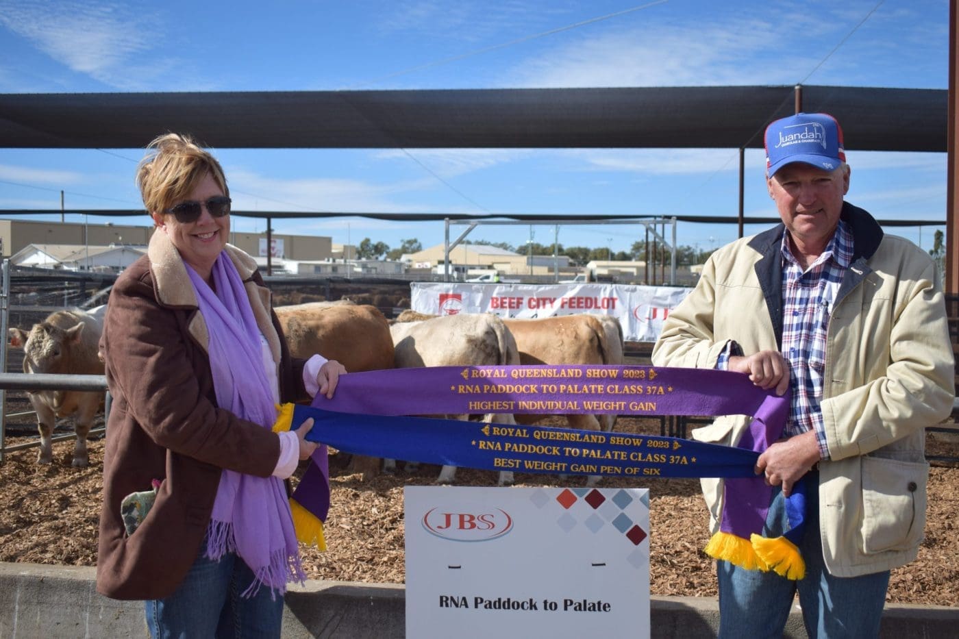 Impressive steers top 3kg/day in first stage of Paddock to Palate