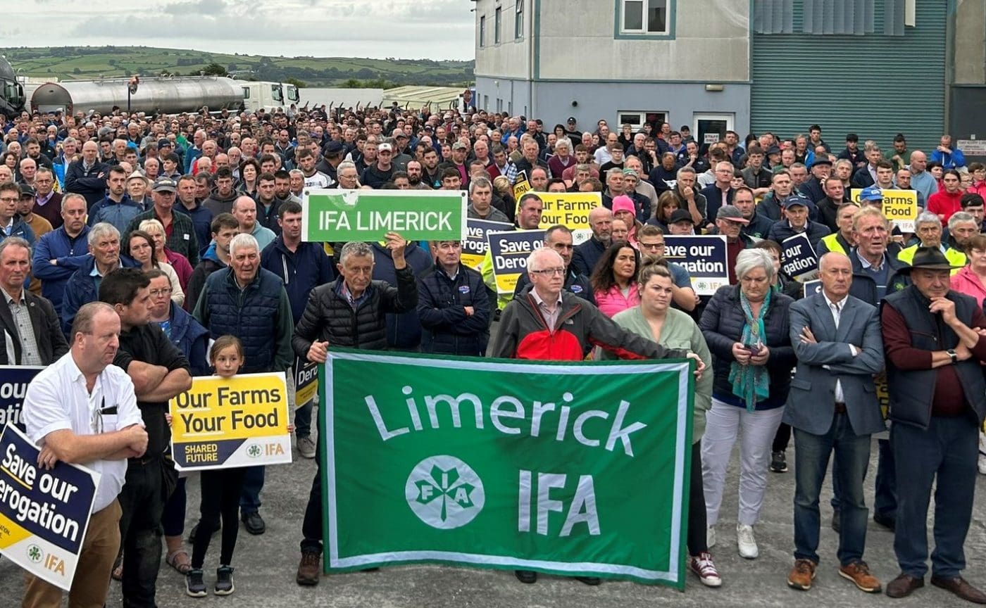 Fermierii irlandezi protestează împotriva planurilor de sacrificare a 200.000 de vaci, studiază Elon Musk