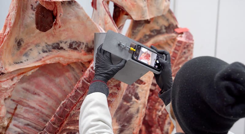 US beef industry trials remote carcase grading to help small