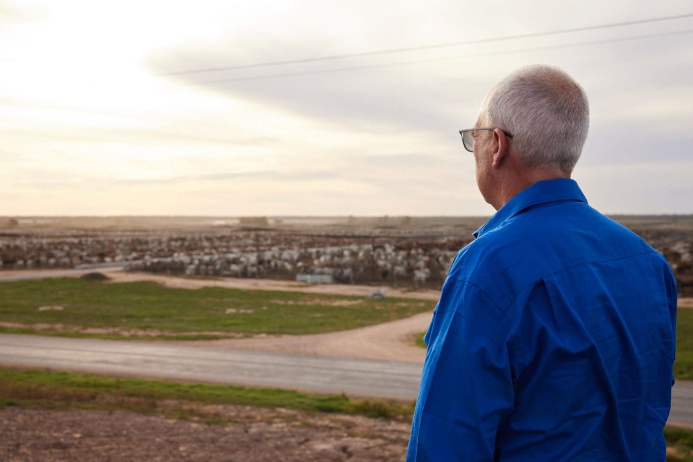 Mort & Co’s remaining assets, including Grassdale feedlot, on the market