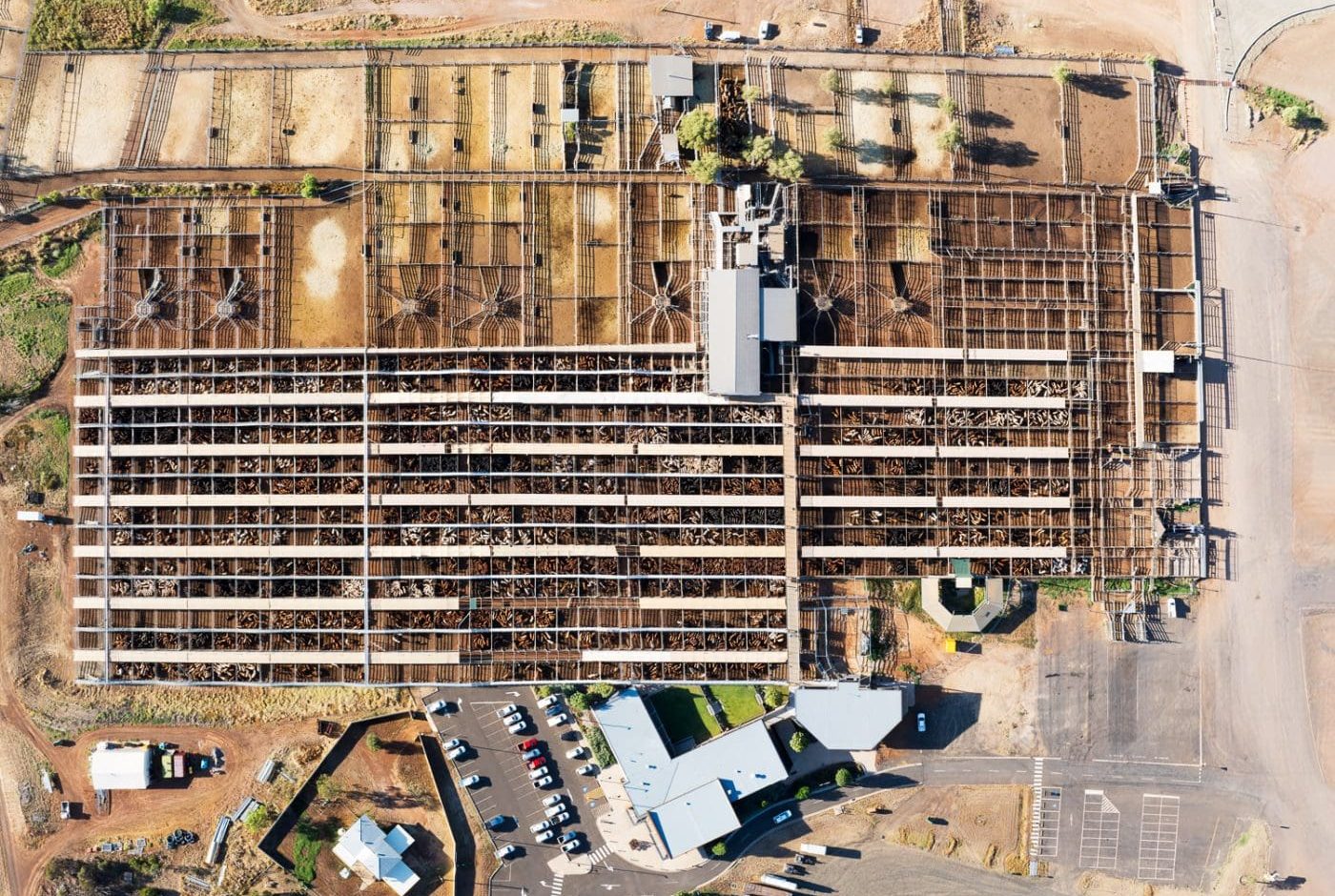 Saleyards Australia beefs up animal welfare initiatives