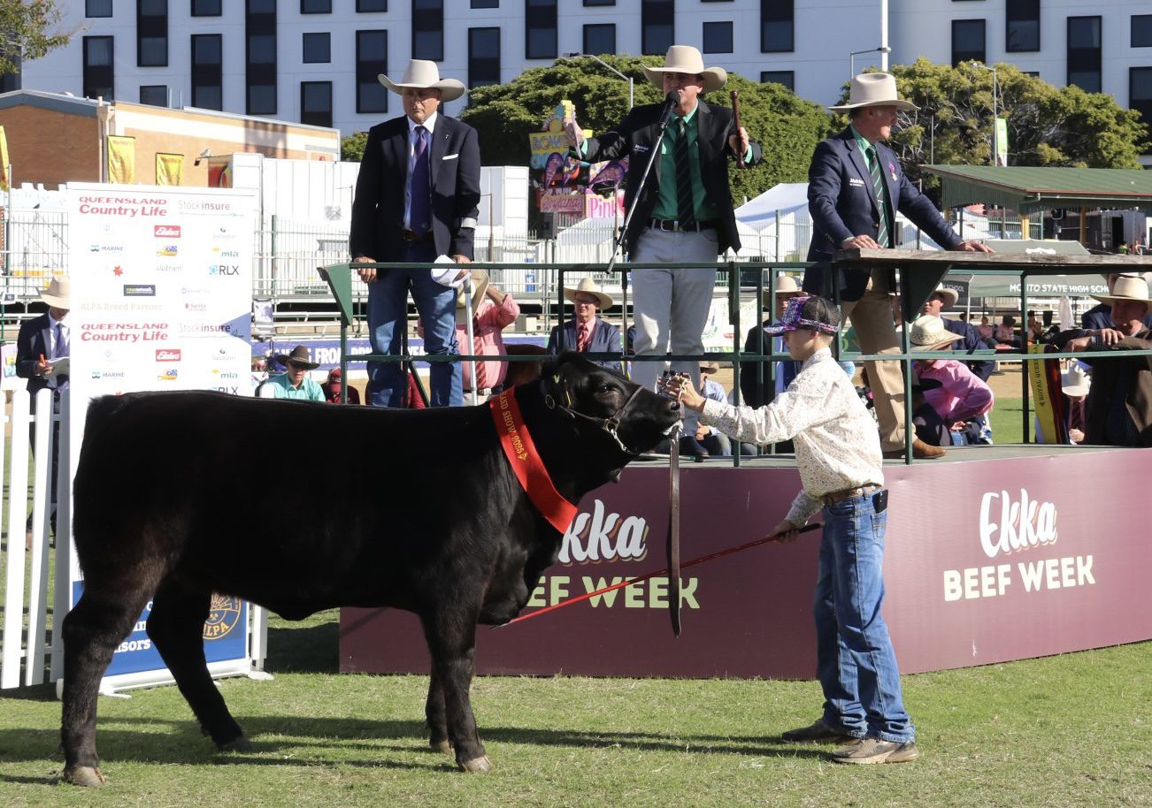 From Livestock Agent to Auction Star: Young Queenslander Wins ALPA Competition