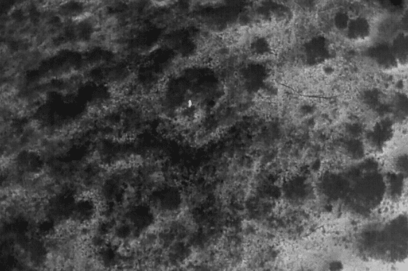 Night-vision drone used for muster mop-up on ACC’s Moray Downs