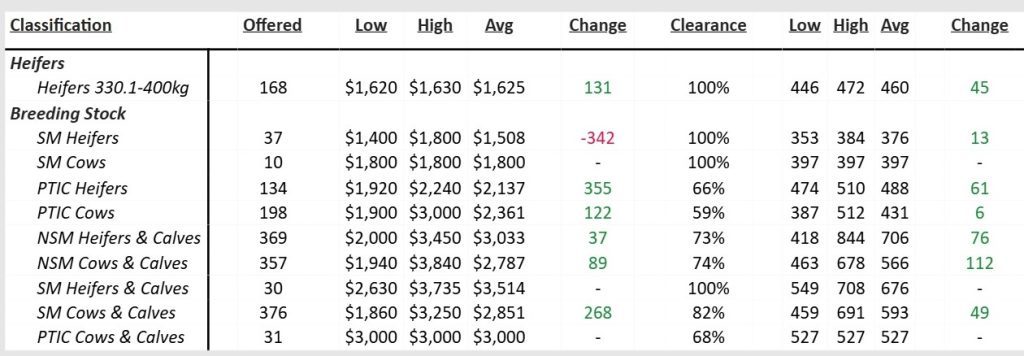 Auction Data Table