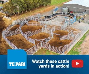 Te Pari Abbott Yards