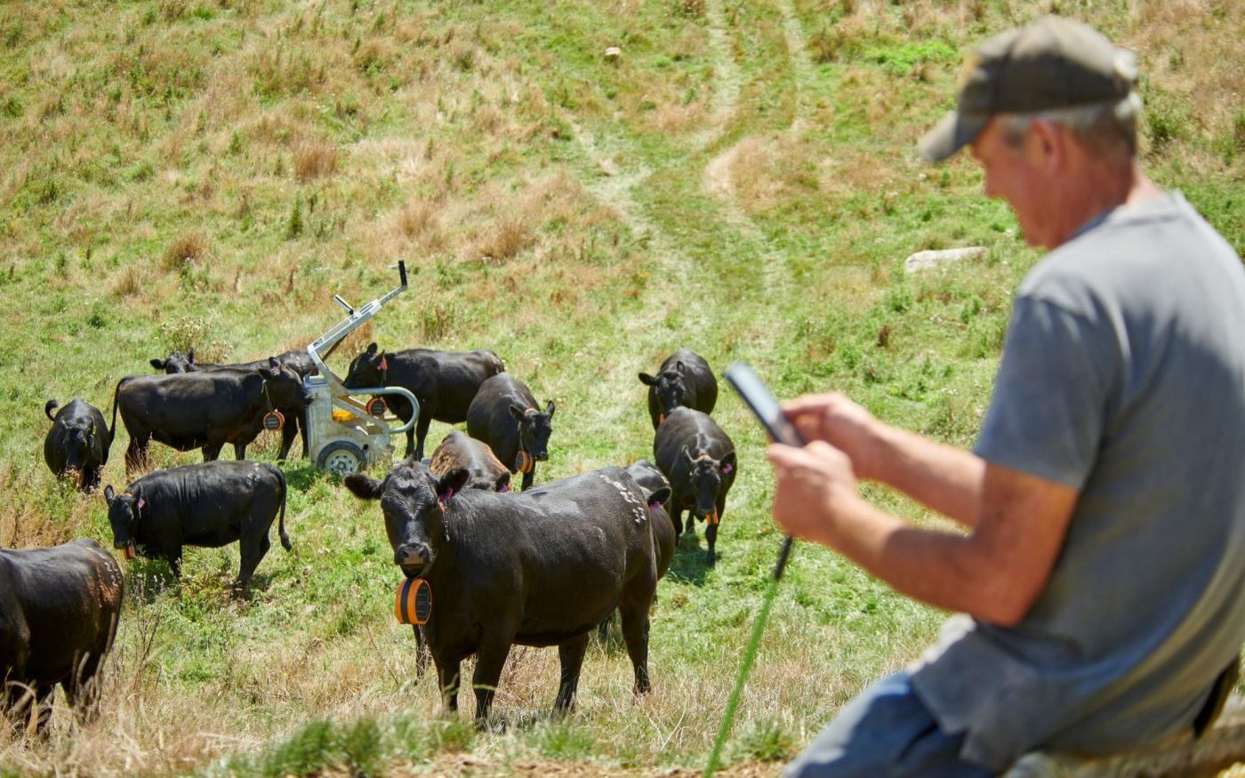 Two states approve virtual fencing for commercial use