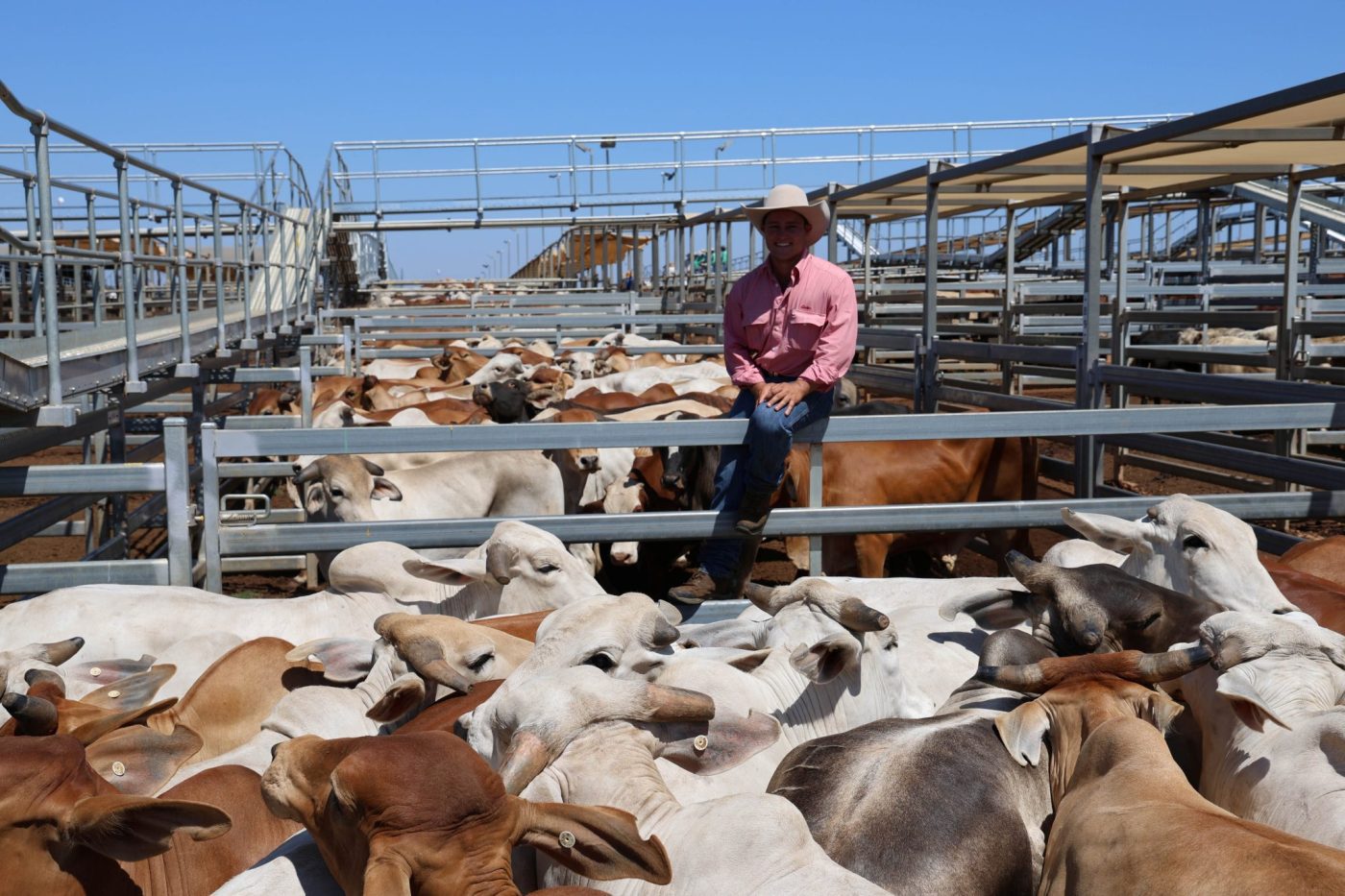 Brahman steers