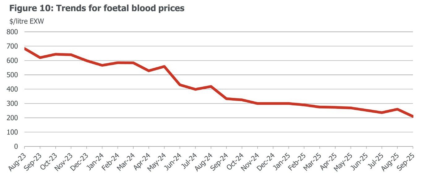 What’s driven the collapse in foetal blood prices?