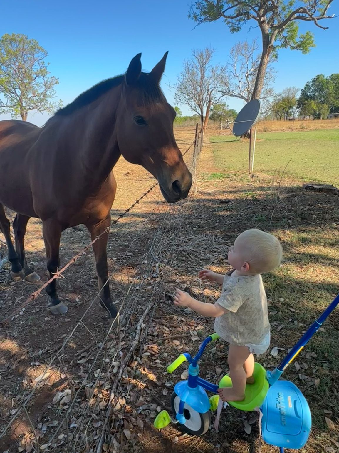 Community Impact of CareFlight