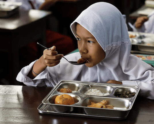 Keep the Sheep lessons to inform cattle export defence