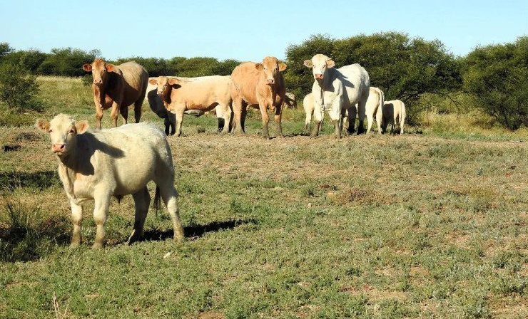 Weekly property review: Recently completed sales in QLD