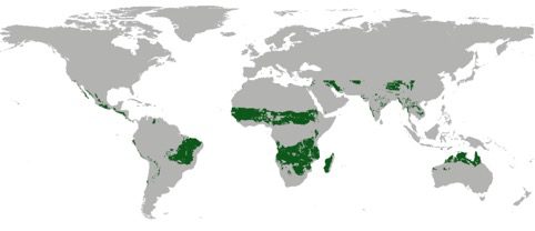 UN opens consultation on world-first global savanna fire management methodology