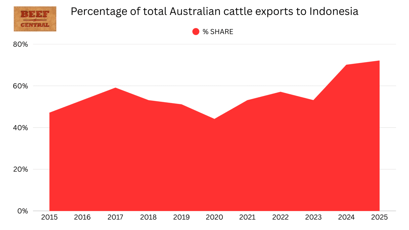 Indonesia revs up as engine room of Aus cattle export trade in 2025