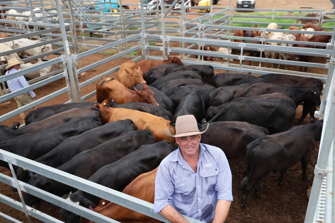 GDL Agent with Angus Steers