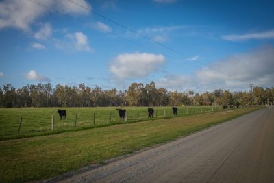 Insurance stats reveal high impact of rural crime on Australian farmers