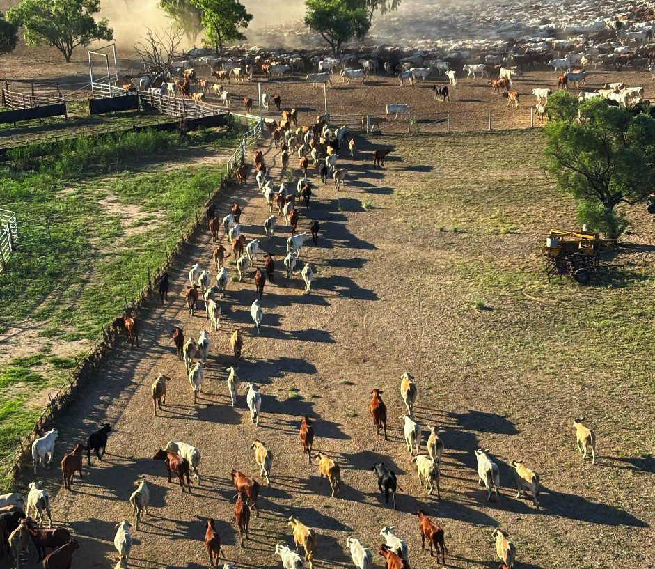 Hughes family secures NW Queensland’s Millungera Station in $180m deal  