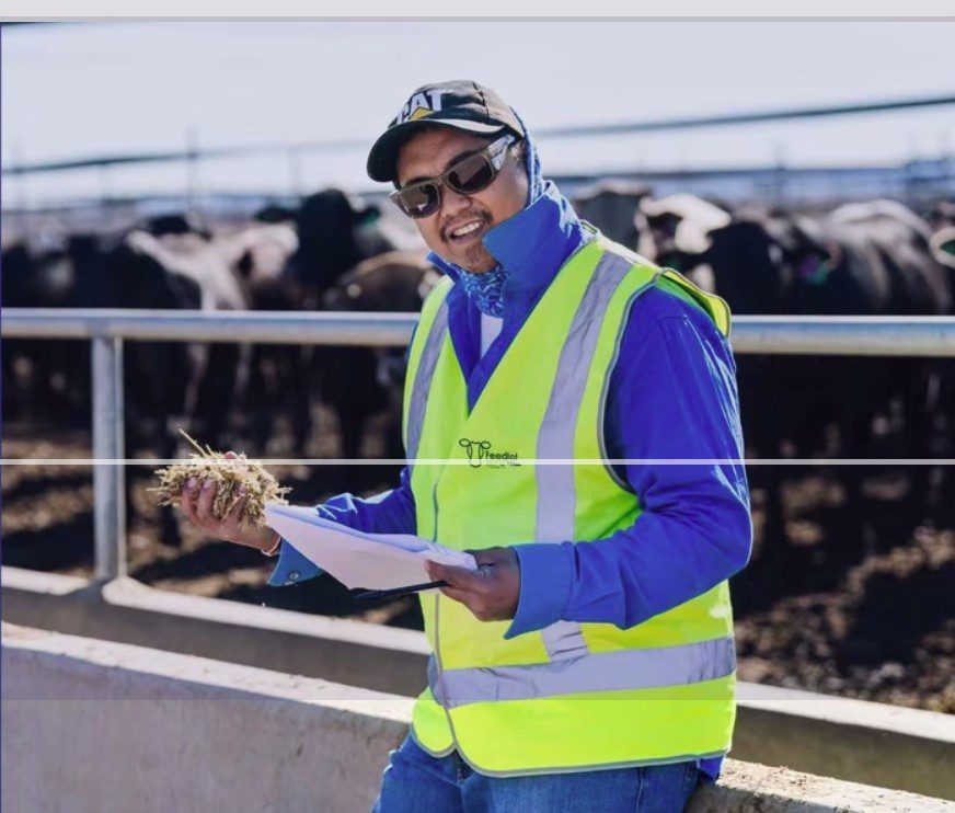 Recruitment: Offshore labour use growing in feedlot sector
