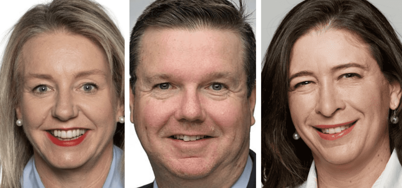 Three senior Nationals quit shadow cabinet over “rushed” hate laws bill