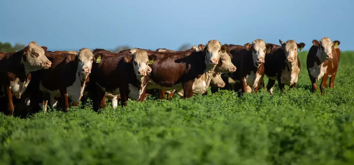 Movement at the station: Recent property listings in Qld and NSW