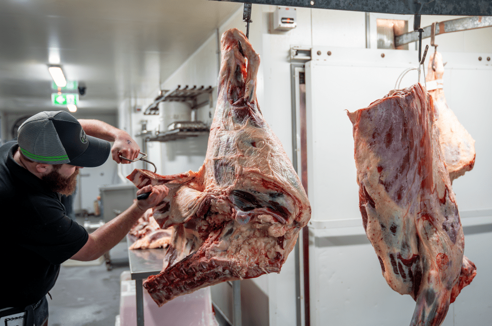 The skills crisis in Australian meat processing and why experience alone can’t fix it