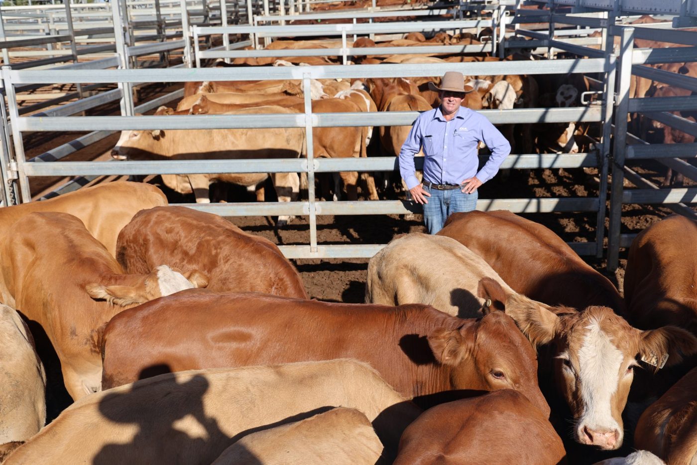 Grant Daniel and Long St George livestock agent Anthony Hyland with A & C Walker T/AS Ace Grazing’s steers.