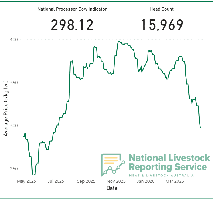 Cow prices take a hit as more records tumble at the saleyards