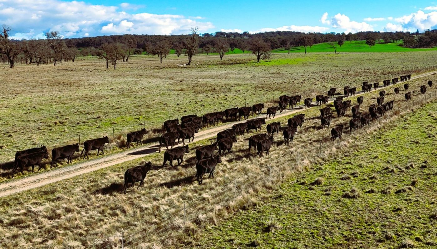 Recent property listings – NSW