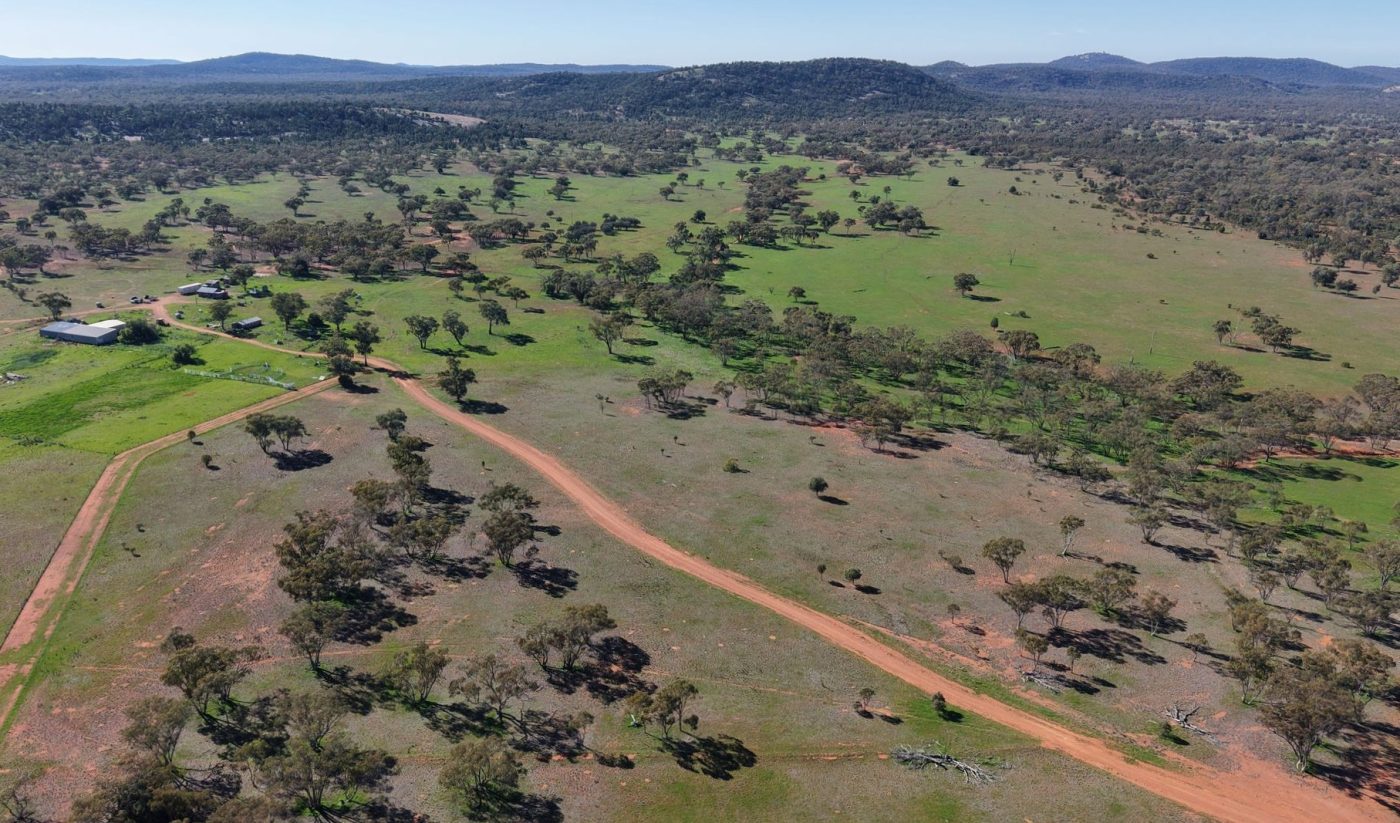 Recent property listings in NSW and South Australia